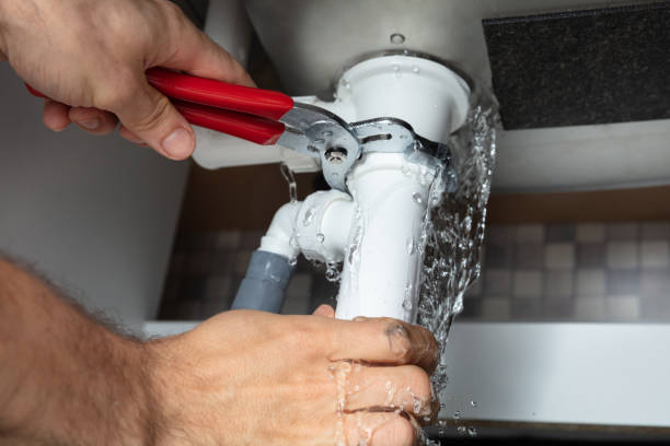 Best Flood restoration services  in Dakota Dunes, SD