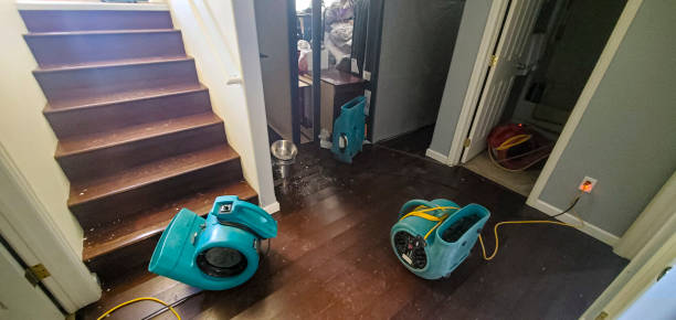 Best Water damage restoration near me  in Dakota Dunes, SD