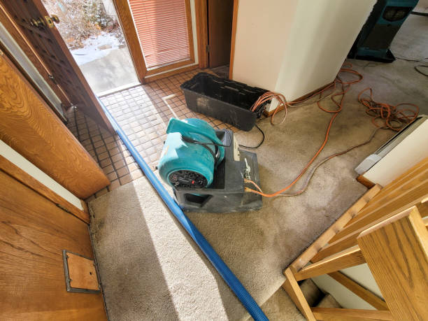 Best Flooded house restoration  in Dakota Dunes, SD