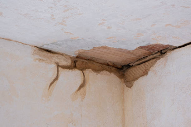 Best Water damage restoration near me  in Dakota Dunes, SD