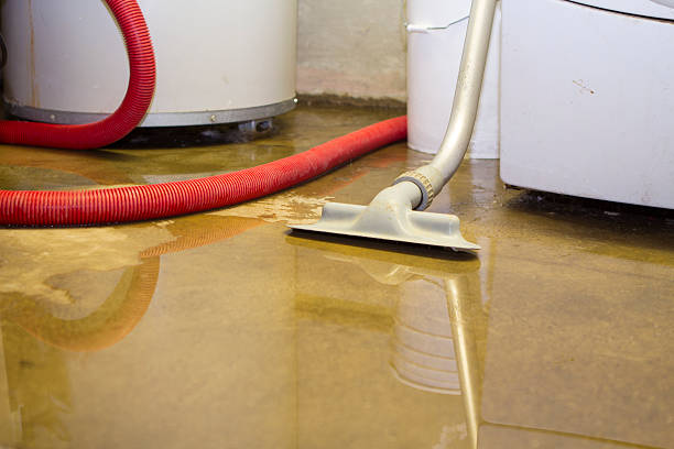 Professional Water damage restoration in SD