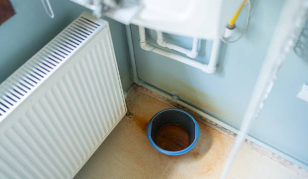 Best Carpet water damage restoration  in Dakota Dunes, SD
