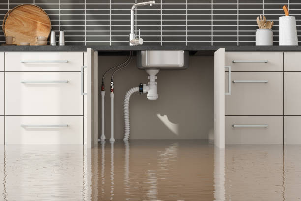 Best Sewage cleanup and water damage restoration  in Dakota Dunes, SD